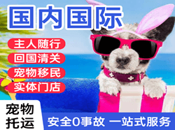 济宁大安机场快递国际宠物托运 【国